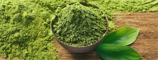 Green Tea Extract ingredient used in SodaSlim