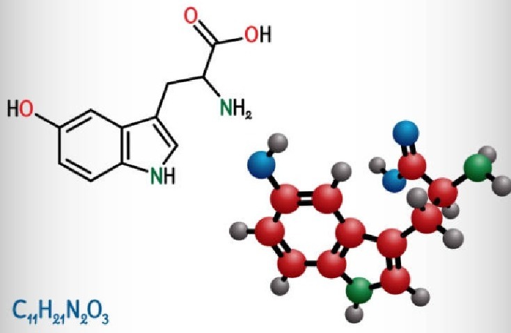 5-HTP ingredient in Yu Sleep that supports serotonin production and relaxation